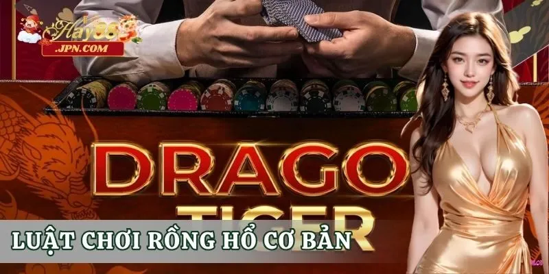 Luật chơi rồng hổ cơ bản